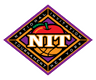 NIT - USA logo
