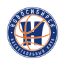 Novosibirsk logo