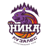 Nika Siktivkar W logo