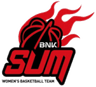 Busan BNK Sum W logo