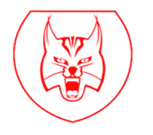 Lobas W logo