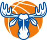 Ostersund W logo