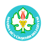 Manisa logo
