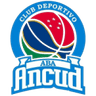 Ancud logo
