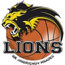 Jindrichuv Hradec logo