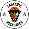 Sosnowiec W logo