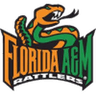 Florida A&M logo