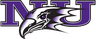 Niagara logo