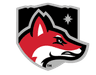 North Greenville logo
