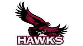 Saint Josephs Hawks logo