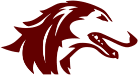 Southern Illinois logo