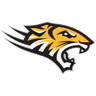Towson logo