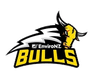 Franklin Bulls logo