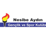 Nesibe Aydin W logo