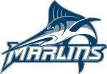 VA Wesleyan logo