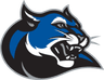 Culver-Stockton logo