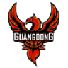 Guangdong W logo