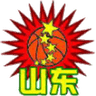 Shandong W logo