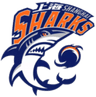 Shanghai W logo