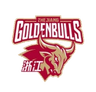 Zhejiang Golden Bulls W logo