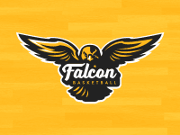 Falcon logo