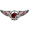 Falcon W logo
