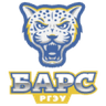 Bars Rostov logo