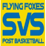 Vienna United W logo