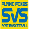 Vienna United W logo