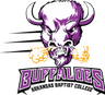 Arkansas Baptist logo