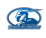 Ohio Christian logo