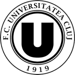 Cluj-Napoca logo