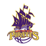 South West Metro Pirates W logo