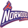 Norwood Flames W logo