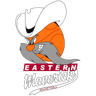 Eastern Mavericks logo