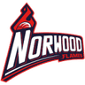 Norwood Flames logo