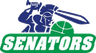 Warwick Senators W logo