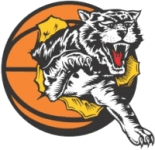 Willetton Tigers W logo