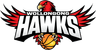 Illawarra Hawks W logo