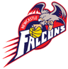 Newcastle Falcons W logo