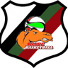 Arabe Valparaiso logo