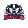 Brock logo