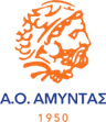 Amyntas W logo