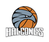 Halcones de Obregon logo