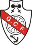 Ginasio logo