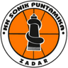Sonik Puntamika logo