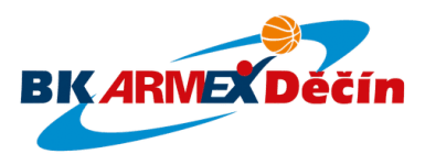 Decin logo