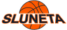 Usti n. Labem logo