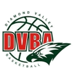 Diamond Valley logo