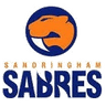 Sandringham W logo